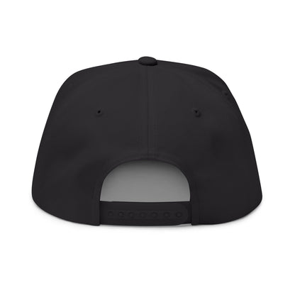 'Stroke This' Embroidered Flat Bill Cap