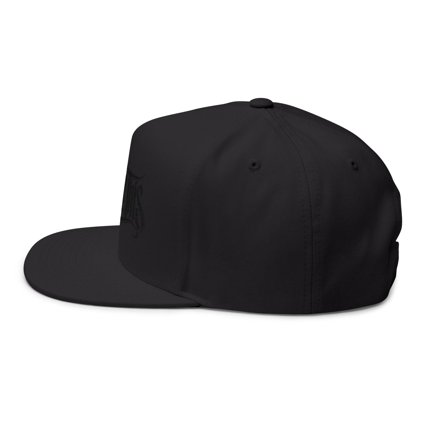 'Stroke This' Embroidered Flat Bill Cap